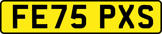 FE75PXS