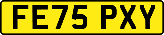 FE75PXY