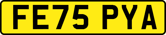 FE75PYA