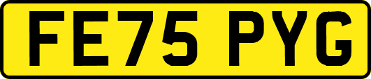 FE75PYG