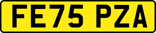 FE75PZA