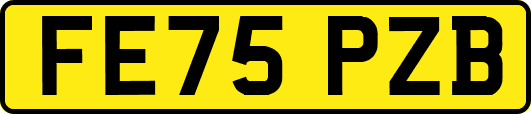 FE75PZB