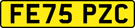 FE75PZC