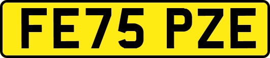 FE75PZE