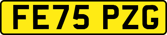 FE75PZG