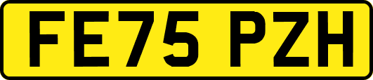 FE75PZH