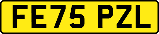FE75PZL