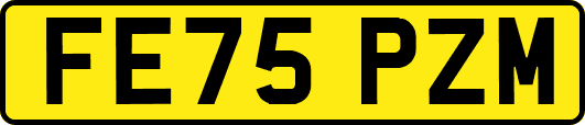 FE75PZM