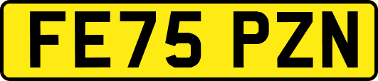 FE75PZN