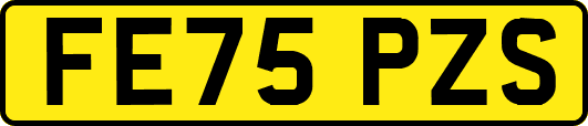 FE75PZS