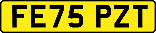 FE75PZT