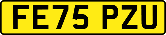 FE75PZU