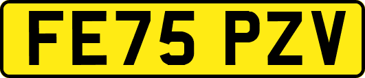 FE75PZV