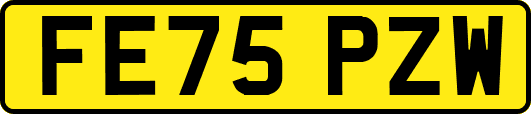 FE75PZW