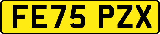 FE75PZX