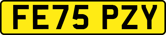 FE75PZY
