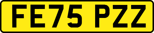 FE75PZZ