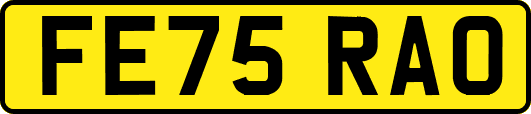 FE75RAO