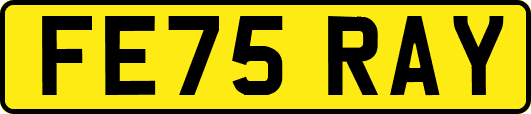 FE75RAY