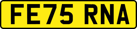 FE75RNA