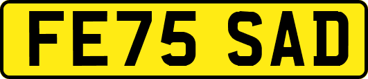 FE75SAD