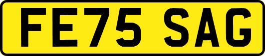 FE75SAG