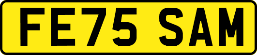 FE75SAM