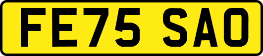 FE75SAO