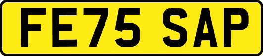 FE75SAP