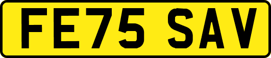 FE75SAV