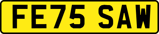 FE75SAW