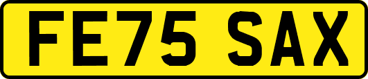 FE75SAX