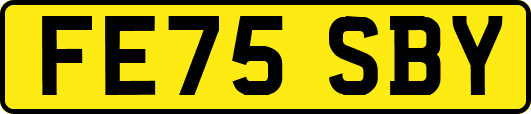 FE75SBY
