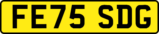 FE75SDG