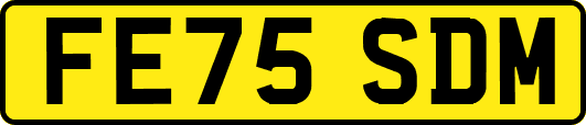 FE75SDM