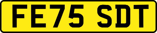 FE75SDT