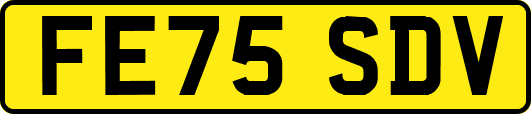 FE75SDV