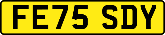 FE75SDY