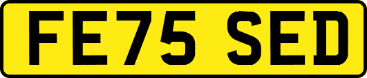 FE75SED