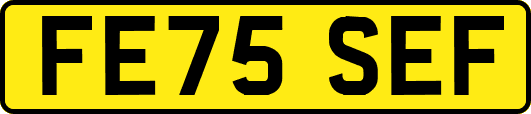 FE75SEF