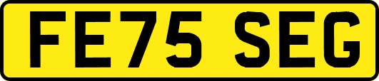 FE75SEG