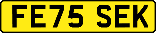 FE75SEK