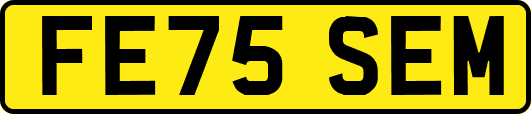 FE75SEM