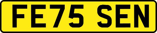 FE75SEN