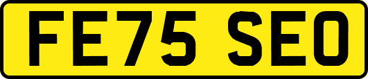 FE75SEO