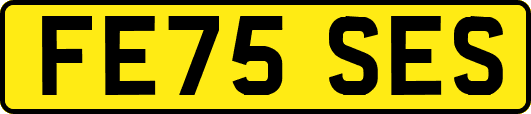FE75SES