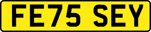 FE75SEY