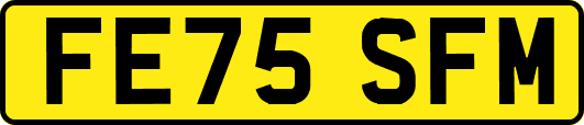 FE75SFM