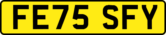 FE75SFY