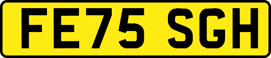 FE75SGH